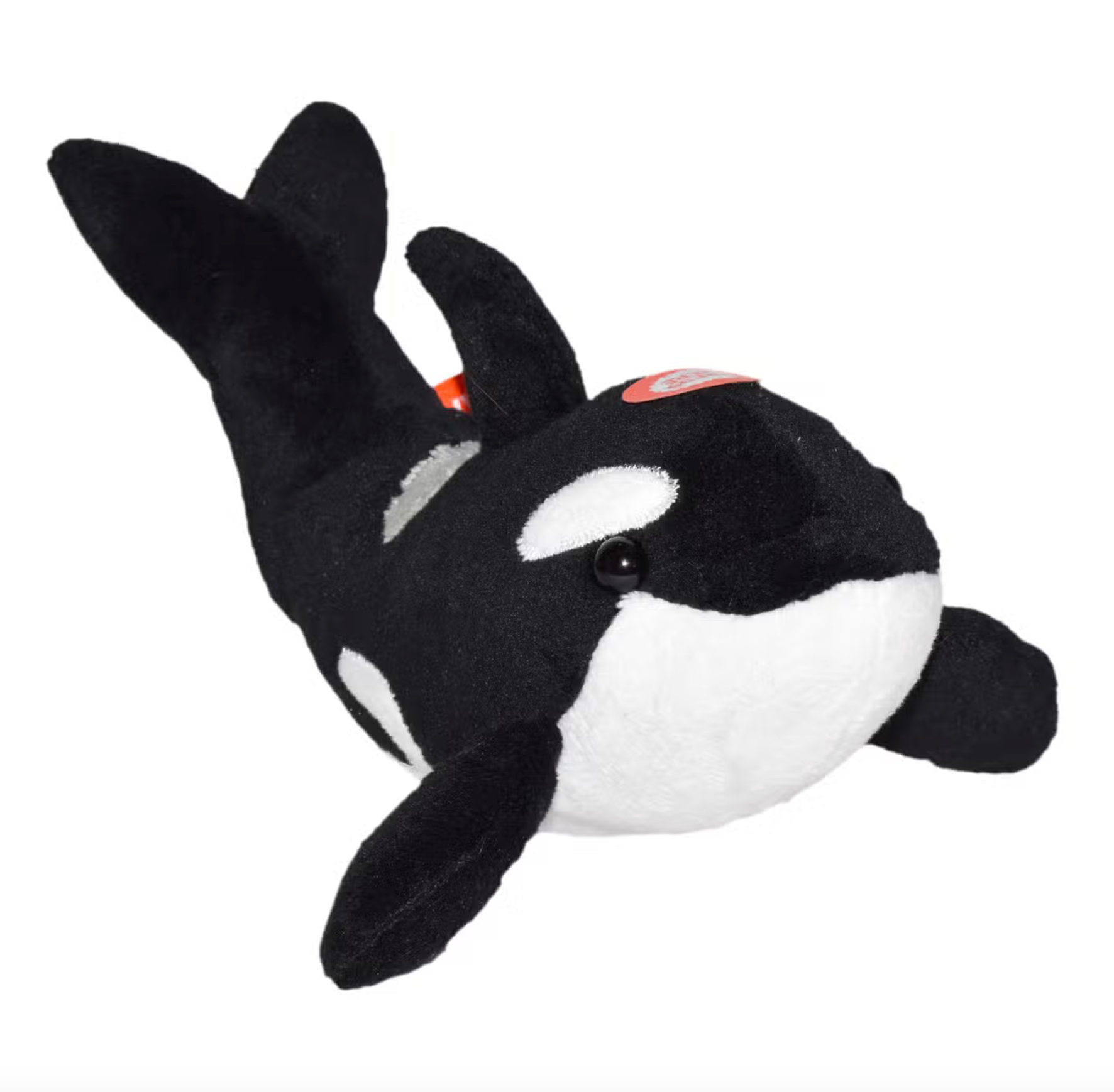 Orca teddy sales