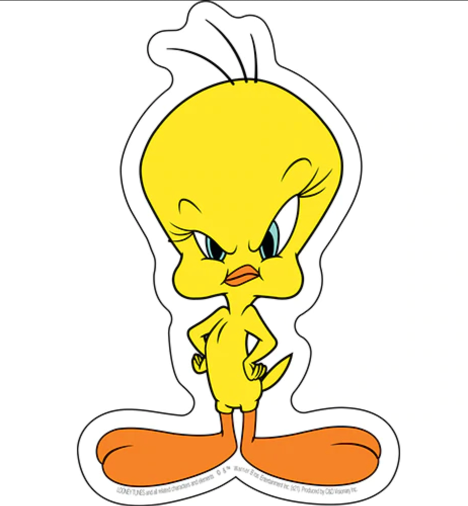 Coco Brands Looney Tunes Tweety Bird 'Love Is Love' Tank And Shorts Pajama Set - Officially Licensed